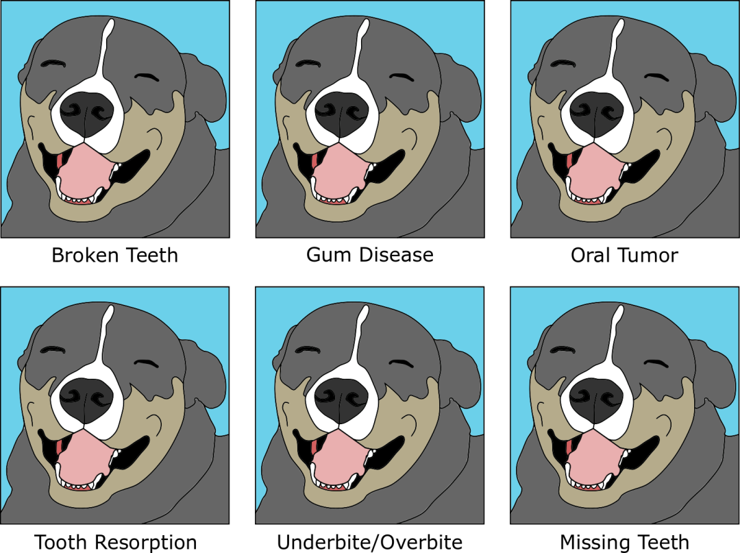 what causes a dog to have an overbite
